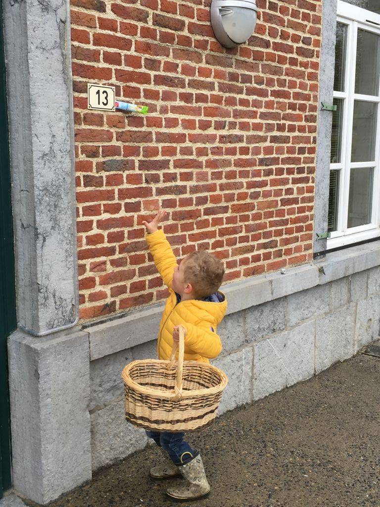 chasse aux oeufs