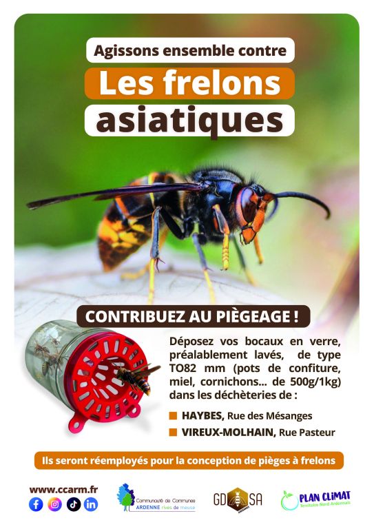 affiche frelon 2026