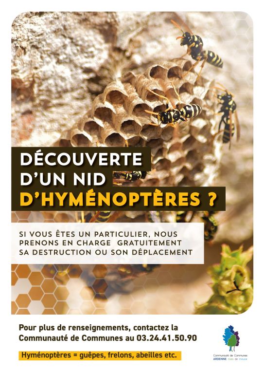 affiche nid3