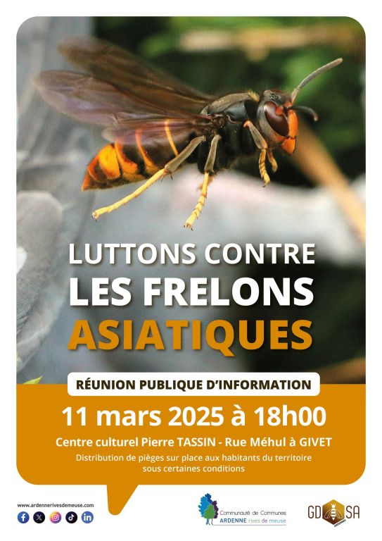 affiche reunion frelons