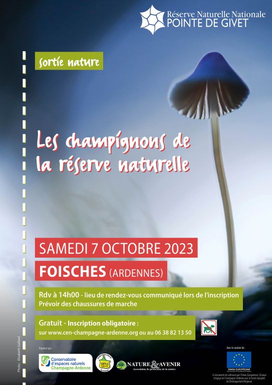 affichea4 champignons