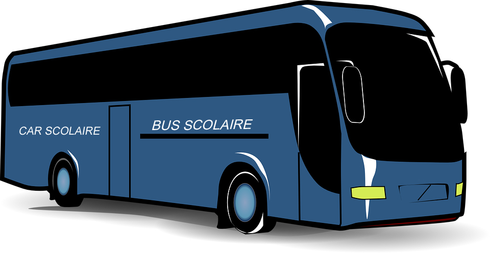 bus