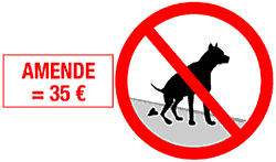 dejections canines