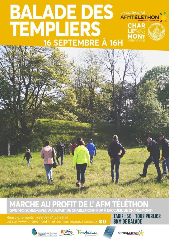telethon affiche